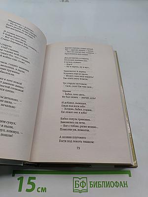 Василий Тёркин. Книга про бойца. Тёркин на том свете