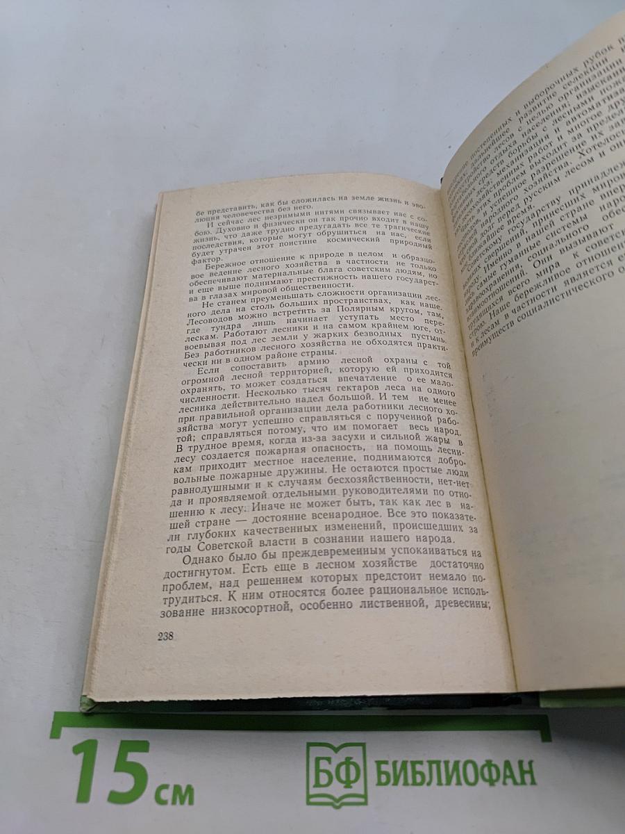 Беседы о лесе
