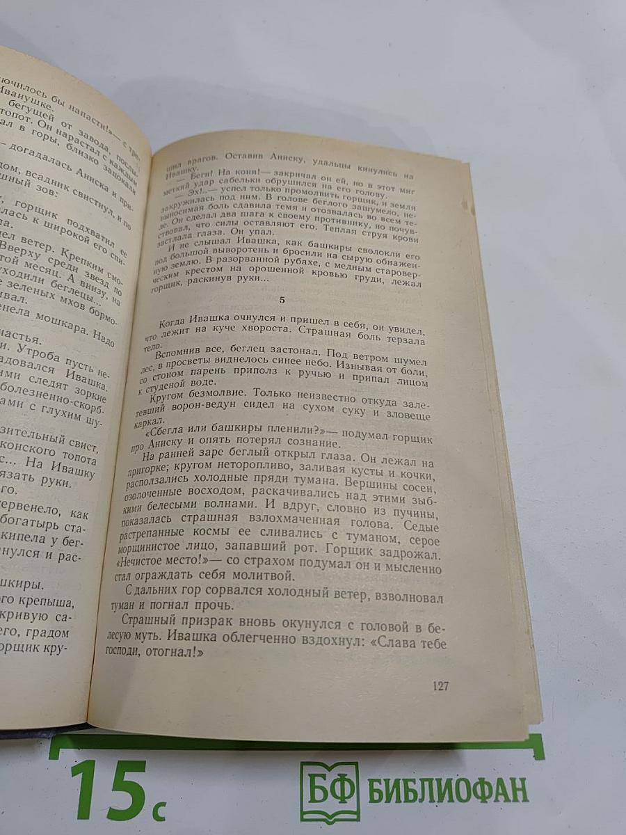 Каменный пояс. Книга вторая: Наследники