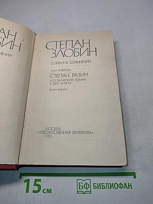 Степан Разин. Исторический роман в двух книгах. Книга вторая