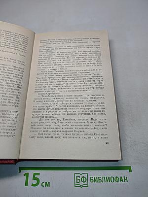 Степан Разин. Исторический роман в двух книгах. Книга вторая
