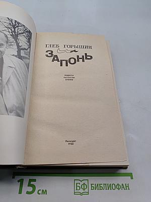 Запонь