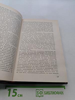 Карьера Ругонов. Добыча. Том 1
