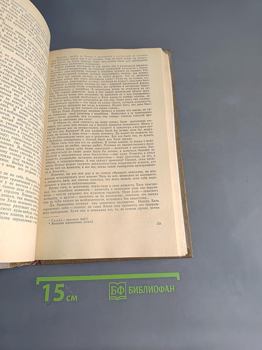 У черты заката. Ступи за ограду