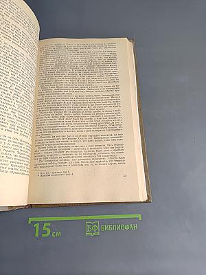 У черты заката. Ступи за ограду