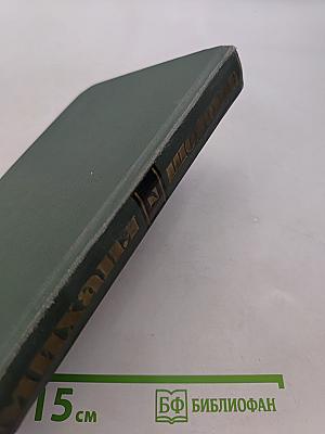 Поднятая целина. Книга вторая