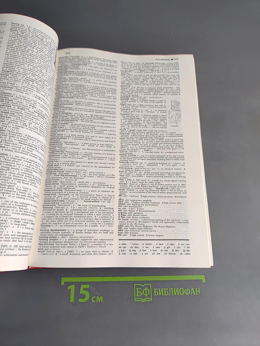 Webster's New Collegiate Dictionary