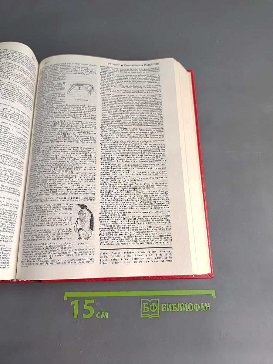 Webster's New Collegiate Dictionary