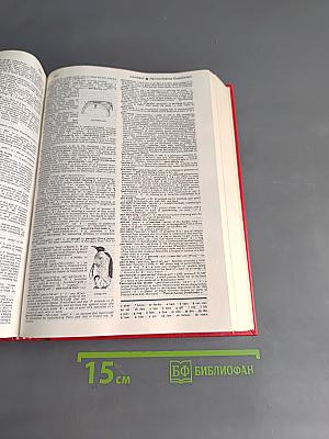 Webster's New Collegiate Dictionary