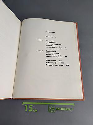 Советская русская живопись первого октябрьского десятилетия. Вопросы становления