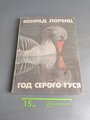 Год серого гуся