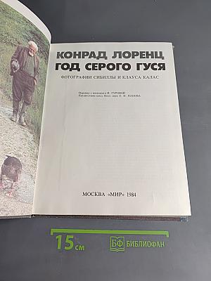 Год серого гуся