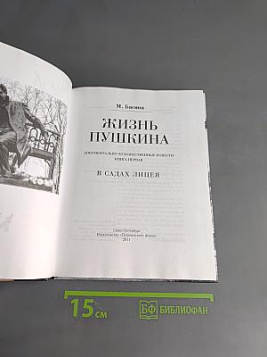 Жизнь Пушкина. В садах лицея. Книга первая