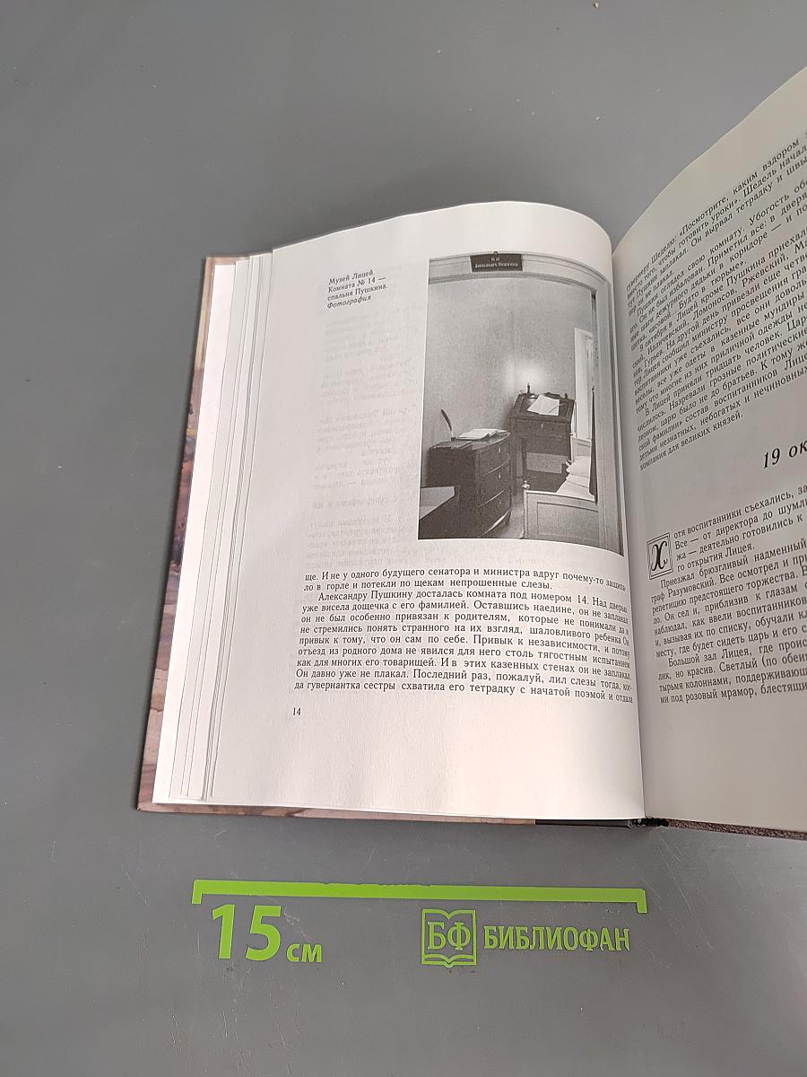 Жизнь Пушкина. В садах лицея. Книга первая