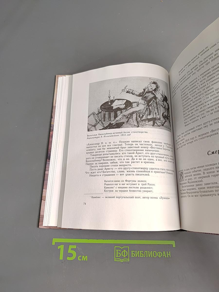 Жизнь Пушкина. В садах лицея. Книга первая