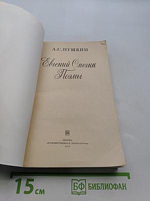 Евгений Онегин. Поэмы