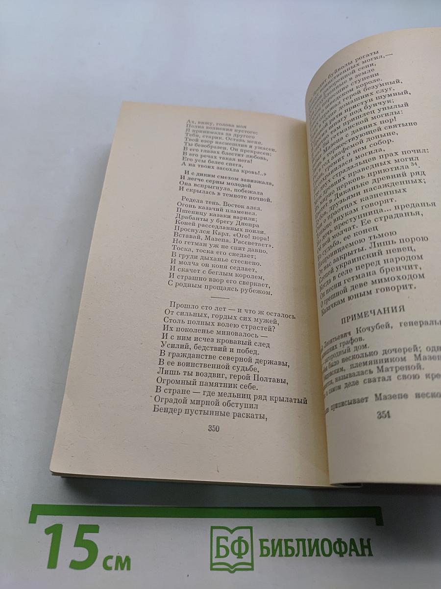 Евгений Онегин. Поэмы