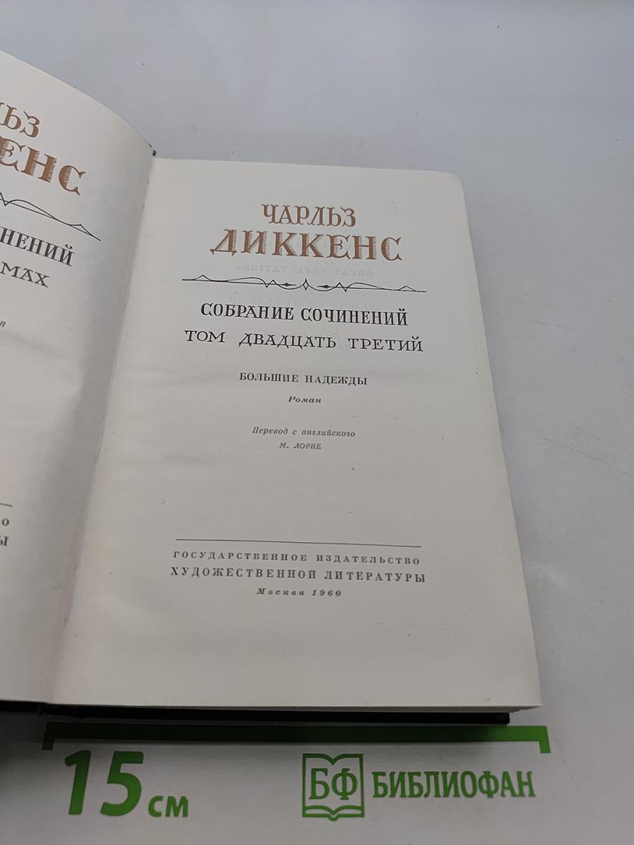 Большие надежды. Том двадцать третий