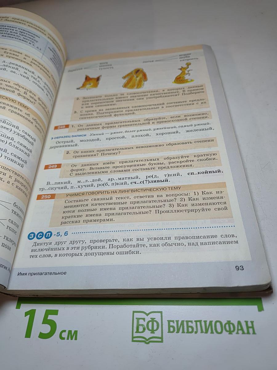 Русский язык 6 класс