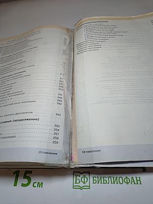 Русский язык 6 класс