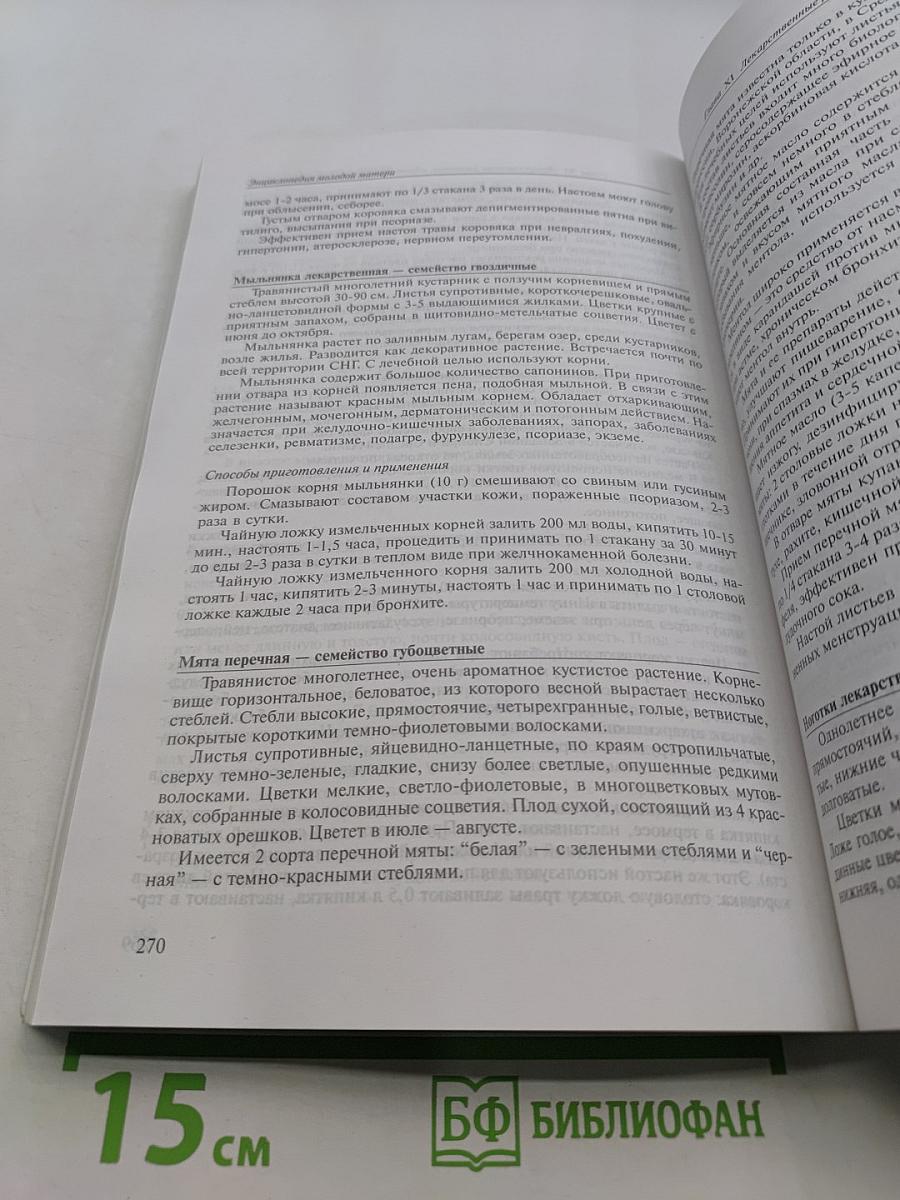 Энциклопедия молодой матери