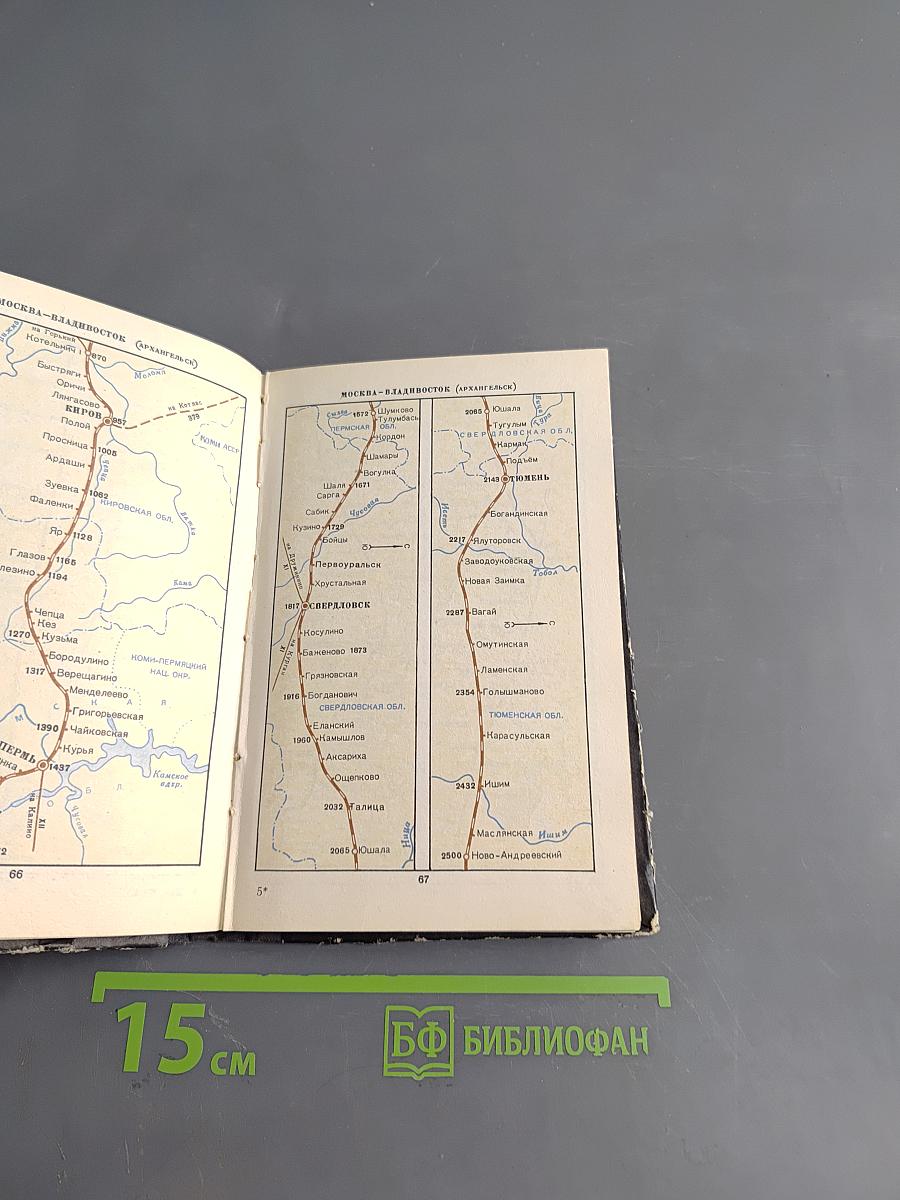 Спутник пассажира