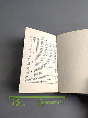 Спутник пассажира