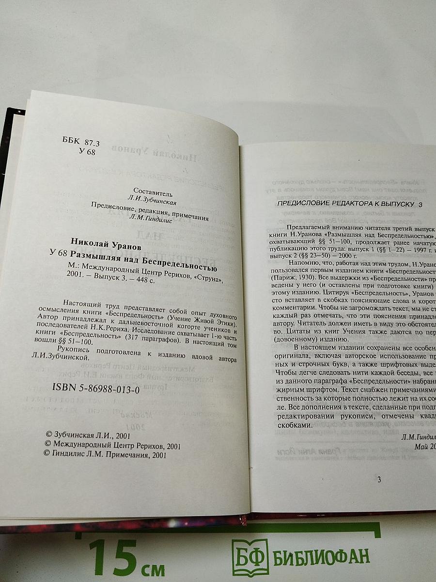 Размышляя над Беспредельностью