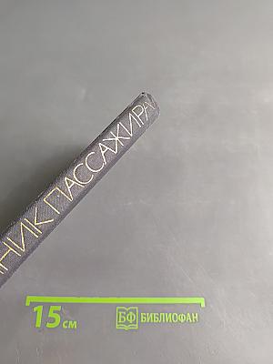 Спутник пассажира