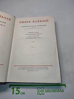 Человеческая комедия. Сцены из провинциальной жизни. Том 4