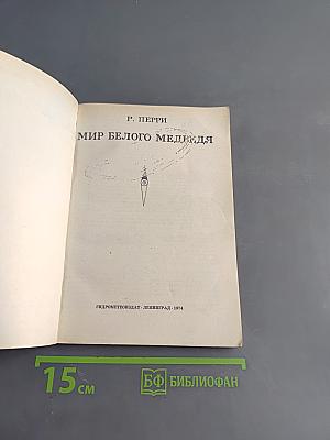 Мир белого медведя