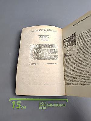 Мир белого медведя