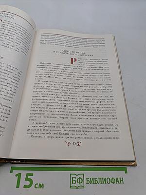 Сотворение оперного спектакля