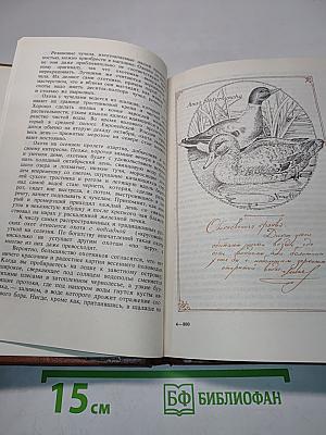 Советы начинающему охотнику