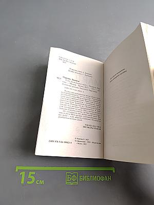 След на весеннем снегу