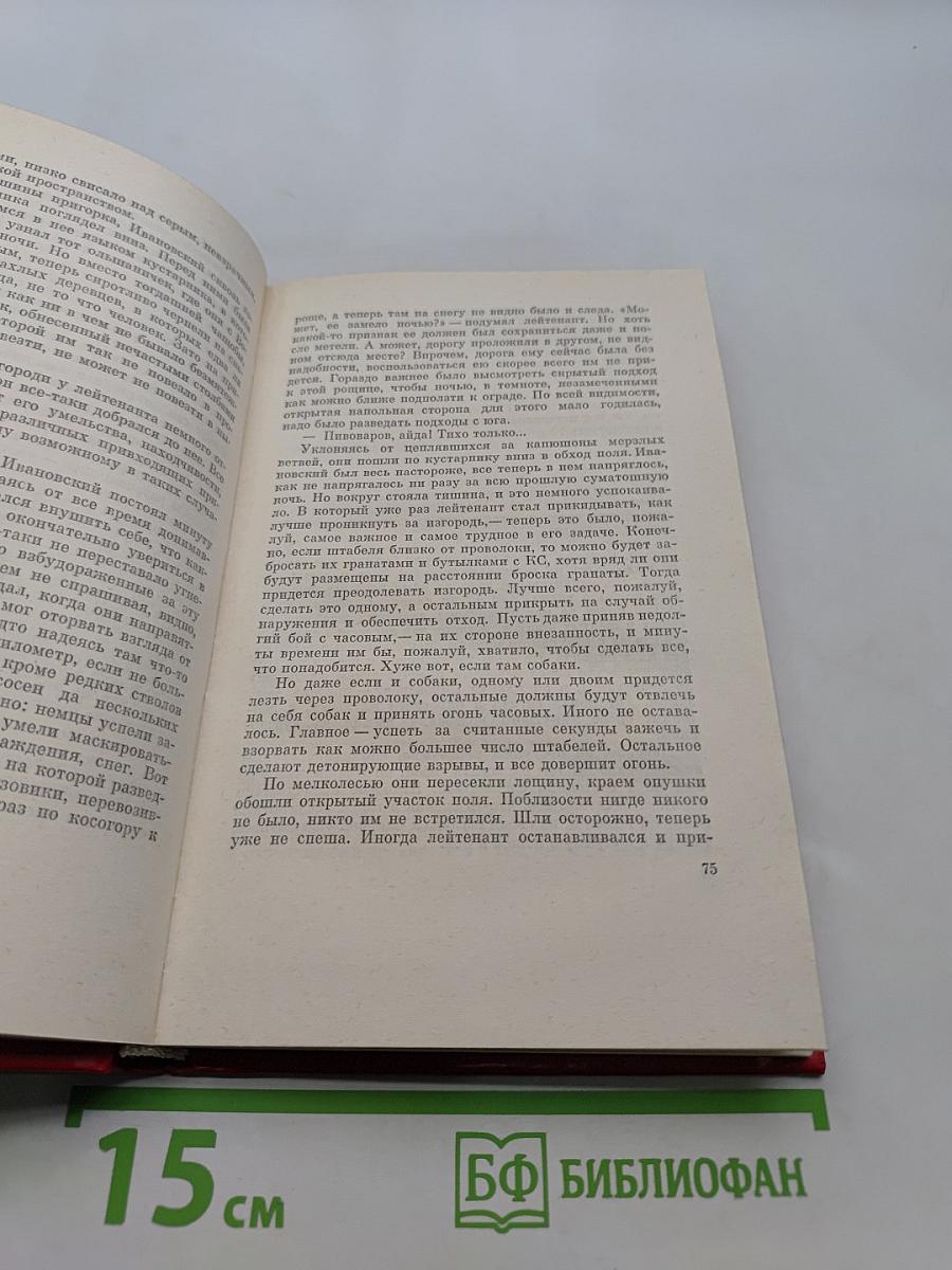 Дожить до рассвета. Обелиск