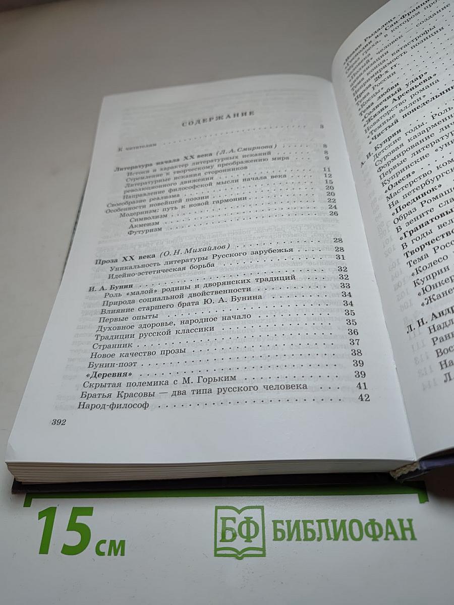 Литература. 11 класс. Часть 1