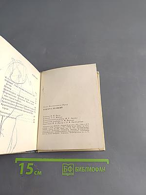 Новгород Великий