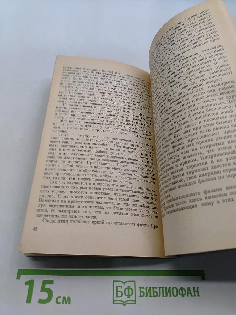 В джунглях Прибалхашья
