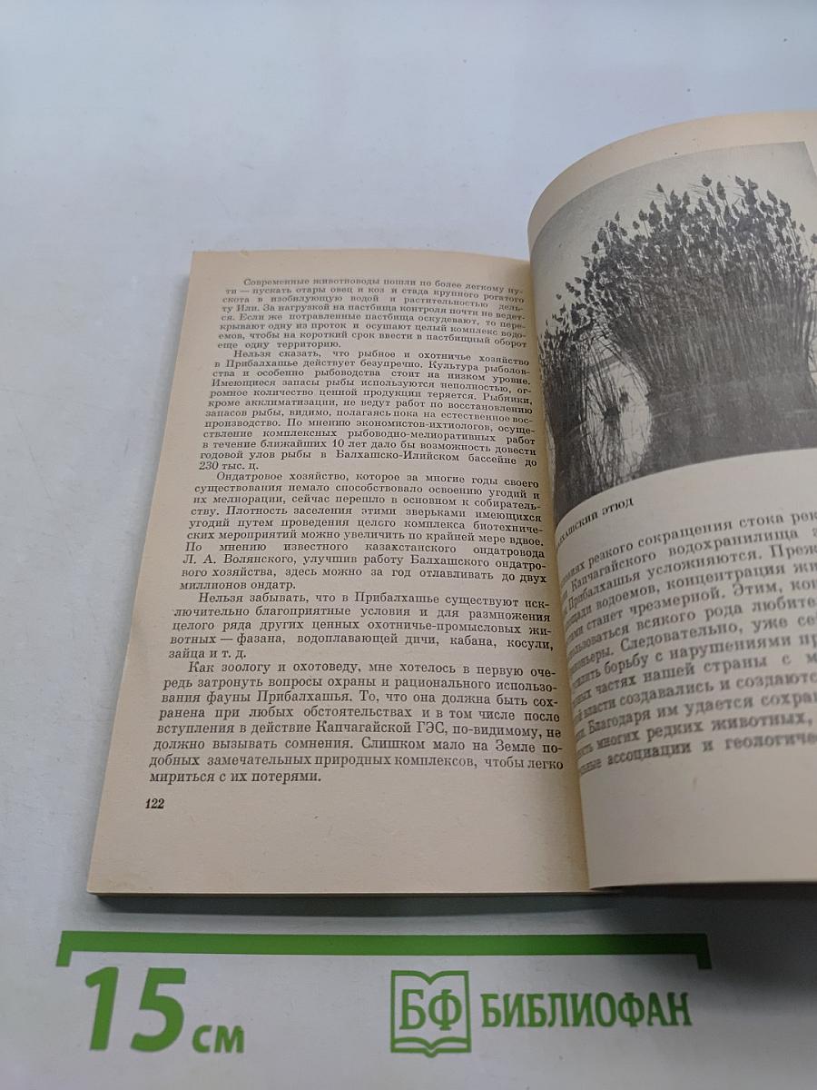 В джунглях Прибалхашья