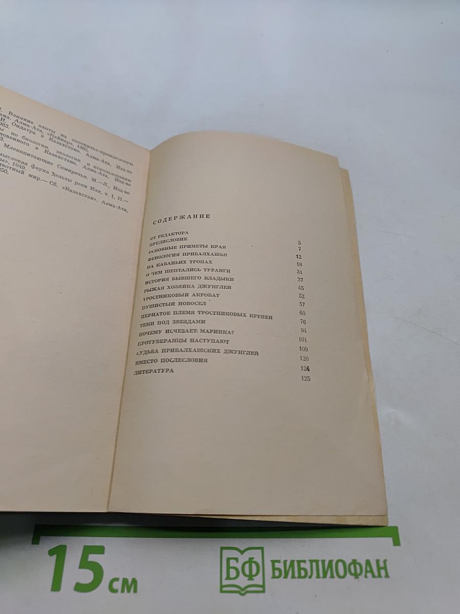 В джунглях Прибалхашья