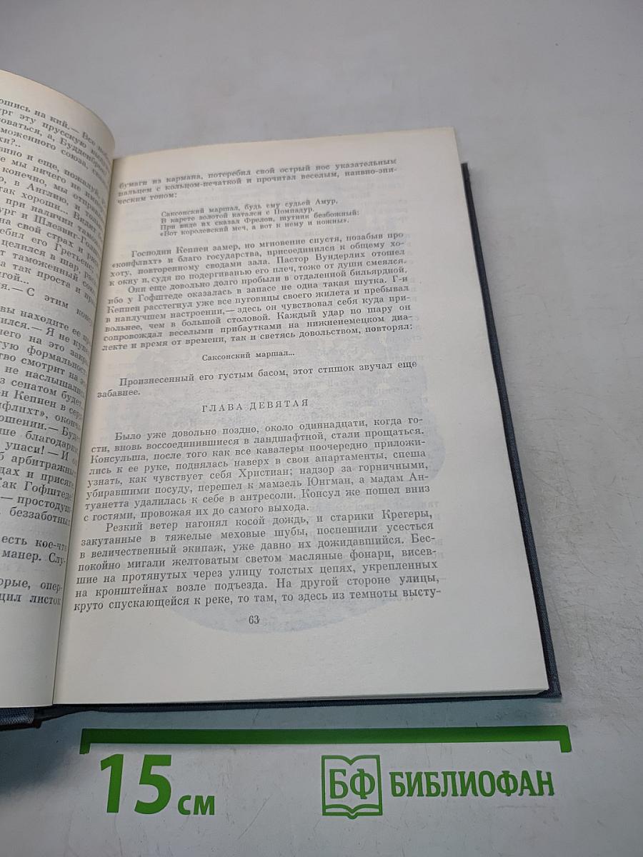 Будденброки. История гибели одного семейства
