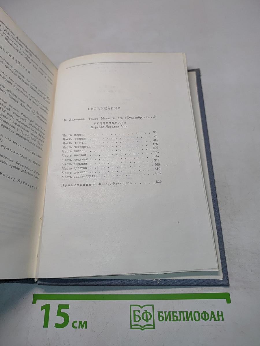 Будденброки. История гибели одного семейства