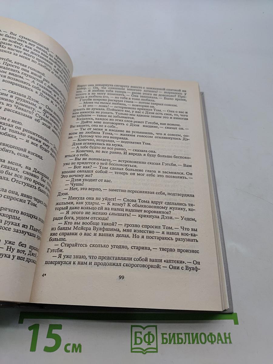 Великий Гэтсби. Ночь нежна