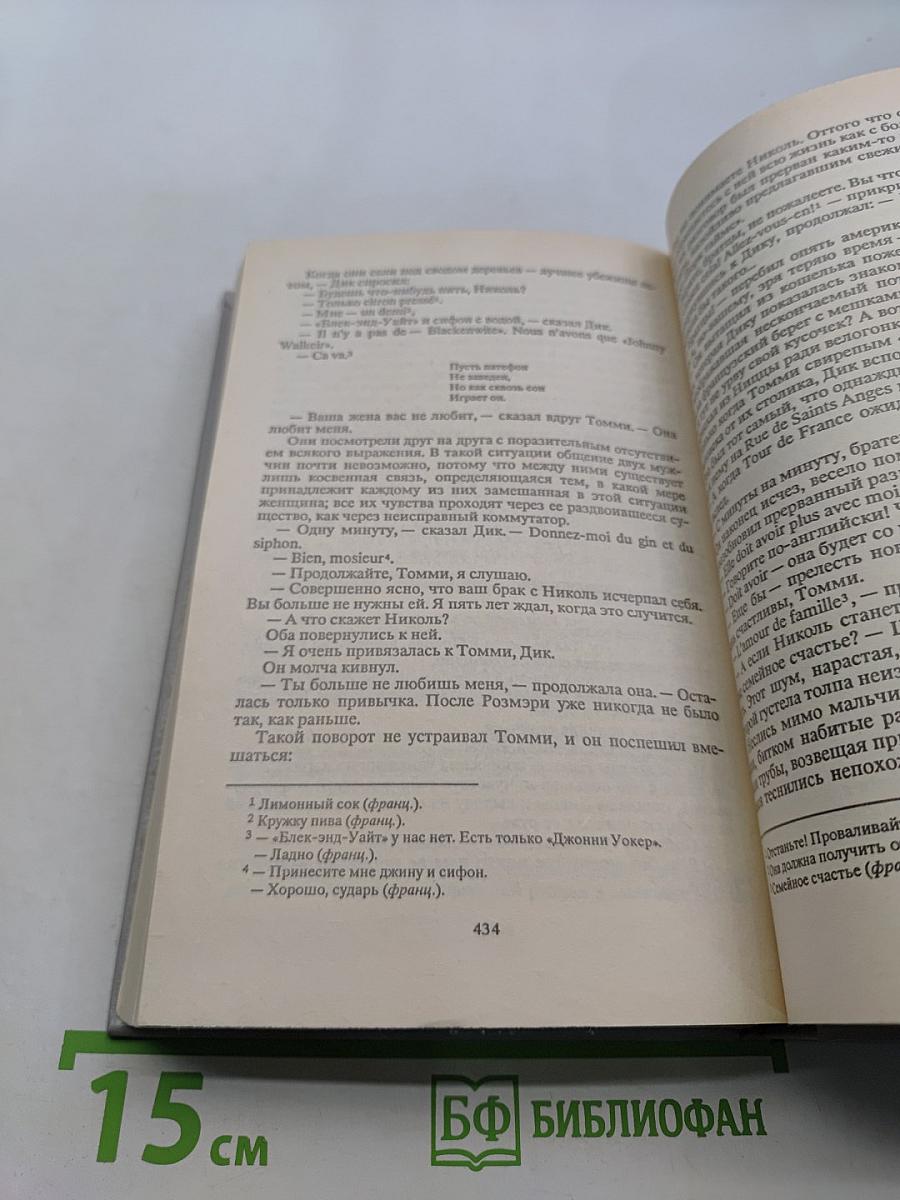 Великий Гэтсби. Ночь нежна