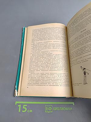 Физическая культура в школе. Методика уроков в I-III классах