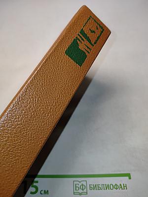 Поле Куликово