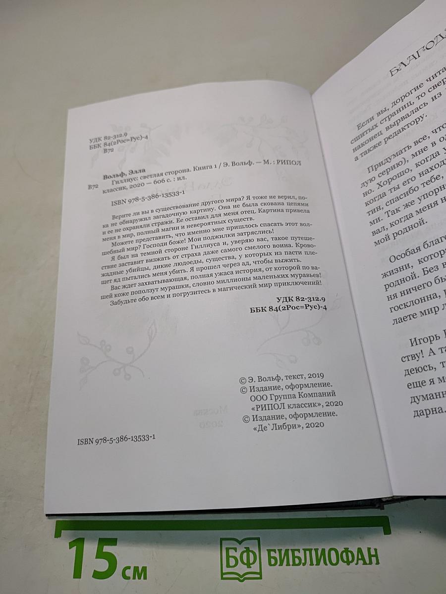 Гиллиус: Светлая сторона. Книга 1