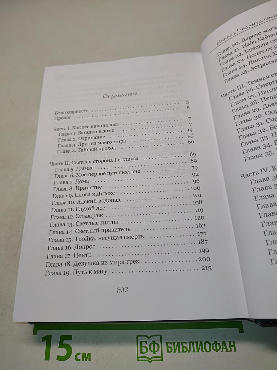 Гиллиус: Светлая сторона. Книга 1