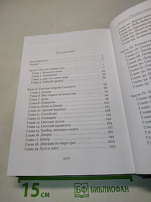 Гиллиус: Светлая сторона. Книга 1